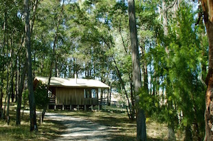 SIBA-Bush-Cabins