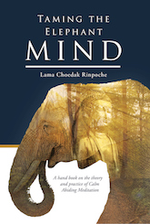 taming-elephant-mind-meditation-ebook