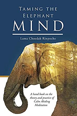 Taming the Elephant Mind